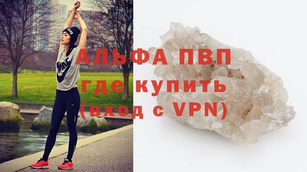 шишки Фёдоровский