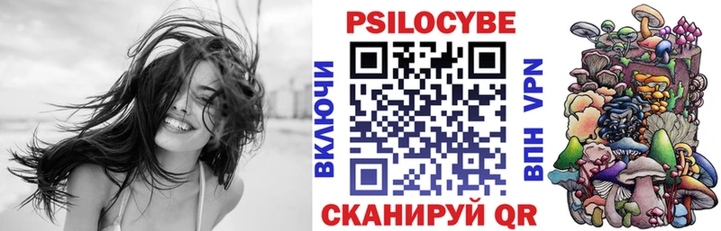 OMG как войти  дарнет шоп  Камень-на-Оби  Псилоцибиновые грибы GOLDEN TEACHER 