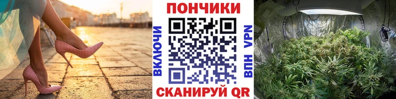 Шишки марихуана гибрид  Камень-на-Оби 